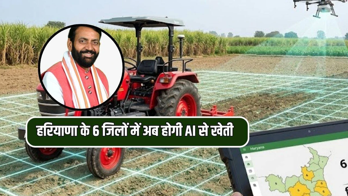 हरियाणा के छह जिलों में एआई आधारित खेती की शुरुआत, डिजिटल ग्रिड मैपिंग से सुधरेगी मिट्टी की सेहत