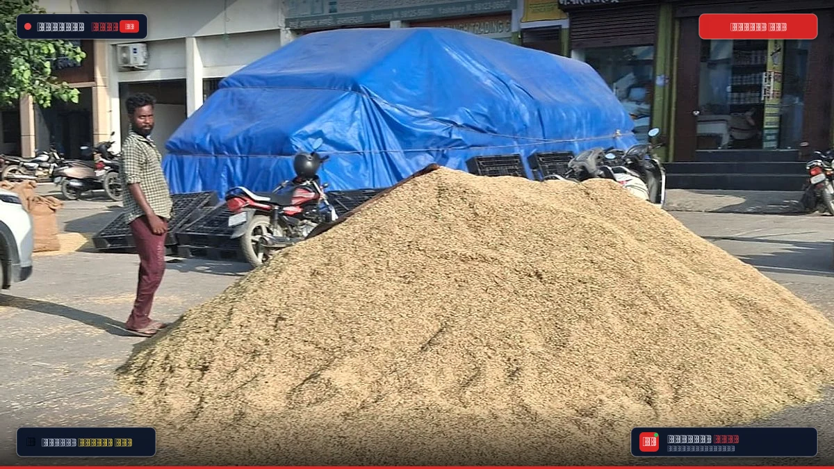 मंडियों में धान की आवक 1.54 लाख मीट्रिक टन पार, सरकारी एजेंसियों ने की 10,752 की खरीद