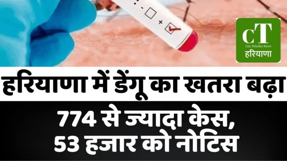 हरियाणा में डेंगू का खतरा बढ़ा,774 से ज्यादा केस, 53 हजार को नोटिस